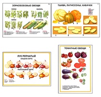 Плакаты ПРОФТЕХ "Ассортимент овощных культур" (12 пл, винил, 70х100) - fgospostavki.ru - Самара