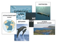 Модель-аппликация "Океаны. Знакомство" (ламинированная) - fgospostavki.ru - Самара