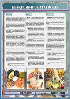 Стенд "Белки. Жиры. Углеводы" - fgospostavki.ru - Самара