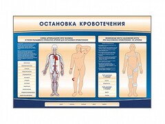 Электрифицированный стенд-тренажер "Остановка кровотечения" - fgospostavki.ru - Самара