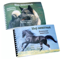 Пособие для слабовидящих - Домашние животные - fgospostavki.ru - Самара
