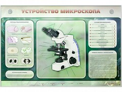 Электрифицированный стенд "Устройство микроскопа и правила работы c ним" - fgospostavki.ru - Самара