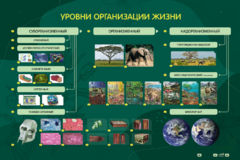 Электрифицированный стенд "Уровни организации жизни" - fgospostavki.ru - Самара