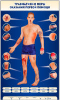 Электрифицированный стенд-тренажер "Травматизм и меры оказания первой помощи" - fgospostavki.ru - Самара
