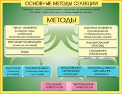 Стенд "Методы селекции и биотехнологии" - fgospostavki.ru - Самара