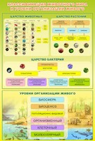 Стенд "Классификация животного мира" - fgospostavki.ru - Самара