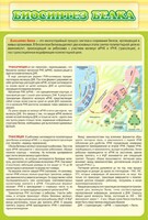 Стенд "Биосинтез белка" - fgospostavki.ru - Самара