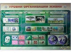 Электрифицированный стенд "Уровни организации жизни" - fgospostavki.ru - Самара