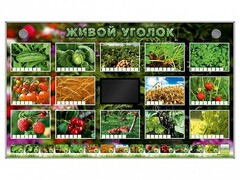 Комплект оборудования "Живой уголок" (растения) - fgospostavki.ru - Самара