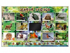 Комплект оборудования "Живой уголок" (животные) - fgospostavki.ru - Самара