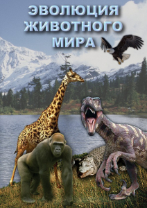 DVD "Эволюция животного мира" - fgospostavki.ru - Самара