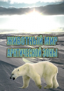 DVD "Животный мир Арктической зоны" - fgospostavki.ru - Самара