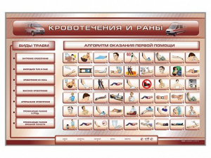 Трехсекционный базовый комплект "Травмы. Кровотечения. Ожоги" для учащихся общеобразовательных учреждений - fgospostavki.ru - Самара