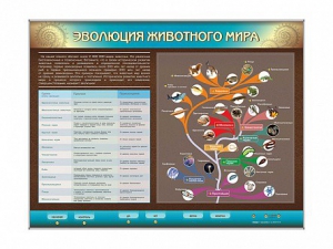 Интерактивный электрифицированный стенд "Эволюция животного мира" - fgospostavki.ru - Самара