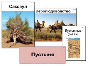Модель-аппликация "Природные зоны России" (ламинированная) - fgospostavki.ru - Самара