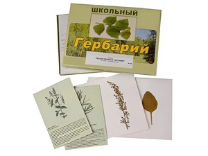 Гербарий "Лекарственные растения" (22 вида с иллюстрациями) - fgospostavki.ru - Самара