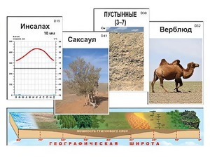 Модель-аппликация "Природные зоны" - fgospostavki.ru - Самара