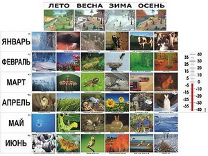 Фенологические наблюдения - fgospostavki.ru - Самара