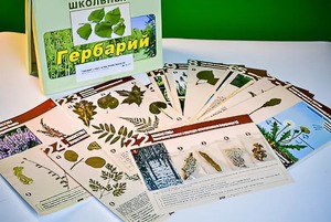 Гербарий к курсу основ общей биологии - fgospostavki.ru - Самара