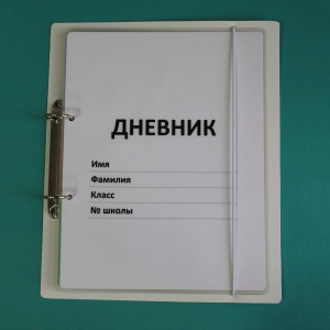 Дневник школьника (с полным набором карточек) - fgospostavki.ru - Самара