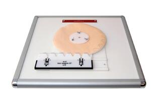 Комплекс "Изучение зубьев" - fgospostavki.ru - Самара