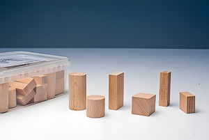 Игровой набор Фребеля "Конструктор" (50 элементов, бук, серия "Красота вокруг нас") - fgospostavki.ru - Самара