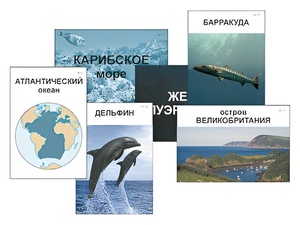 Модель-аппликация "Океаны. Знакомство" (ламинированная) - fgospostavki.ru - Самара