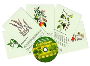 Интерактивный наглядный комплекс "Гербарий "Для начальной школы" - fgospostavki.ru - Самара