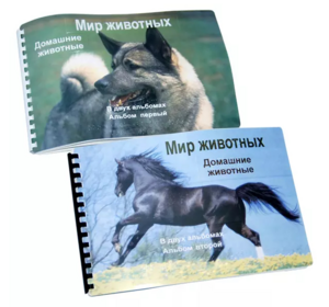 Пособие для слабовидящих - Домашние животные - fgospostavki.ru - Самара