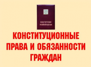 Комплект плакатов "Конституционные права и обязанности граждан" - fgospostavki.ru - Самара