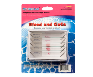 Набор микропрепаратов для микроскопа №1 «Человек» - fgospostavki.ru - Самара
