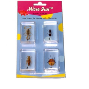 Набор микропрепаратов для стереомикроскопа №14 «Насекомые» - fgospostavki.ru - Самара