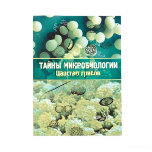 Набор «Тайны микробиологии» (Царство грибов) - fgospostavki.ru - Самара
