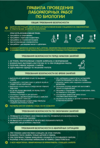 Стенд "Правила выполнения лабораторных работ по биологии" Вариант 1 - fgospostavki.ru - Самара