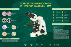 Электрифицированный стенд "Устройство микроскопа и правила работы c ним" - fgospostavki.ru - Самара
