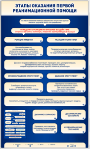 Электрифицированный стенд-тренажер "Этапы оказания первой реанимационной помощи" - fgospostavki.ru - Самара