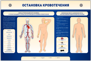 Электрифицированный стенд-тренажер "Остановка кровотечения" - fgospostavki.ru - Самара