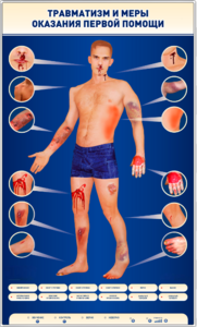 Электрифицированный стенд-тренажер "Травматизм и меры оказания первой помощи" - fgospostavki.ru - Самара