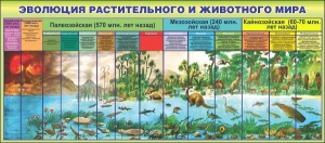 Стенд "Эволюция растительного и животного мира" - fgospostavki.ru - Самара