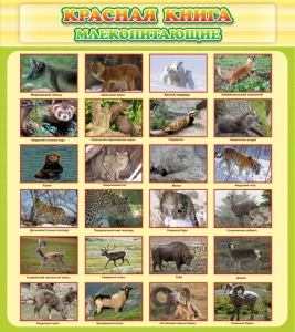 Стенд "Красная книга - млекопитающие" - fgospostavki.ru - Самара