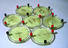 Демонстрационный комплект «Силовые линии электрического поля разных систем зарядов» - fgospostavki.ru - Самара