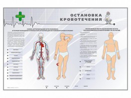 Электрифицированный стенд "Остановка кровотечения" - fgospostavki.ru - Самара