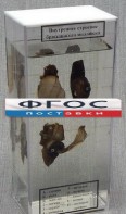 Влажный препарат "Внутреннее строение брюхоногого моллюска" - fgospostavki.ru - Самара