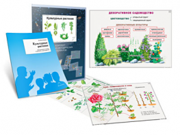 Комплект кодотранспарантов "Культурные растения" - fgospostavki.ru - Самара