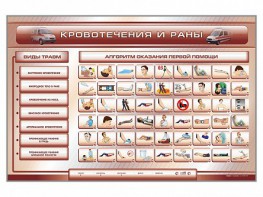Трехсекционный базовый комплект "Травмы. Кровотечения. Ожоги" для учащихся общеобразовательных учреждений - fgospostavki.ru - Самара