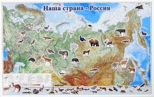 Магнитные карточки "Животные" - fgospostavki.ru - Самара