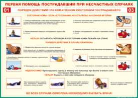 Таблица "Порядок действий при коматозном состоянии пострадавшего" (100х140 сантиметров, винил) - fgospostavki.ru - Самара