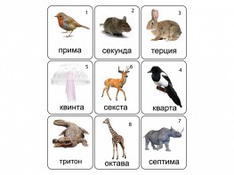 Набор магнитных карточек по музыке "Животные" (9 штук) - fgospostavki.ru - Самара