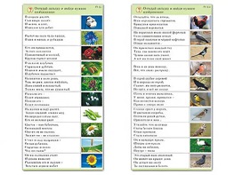 Комплект карточек (10) "Обучающий калейдоскоп. Природа" - fgospostavki.ru - Самара