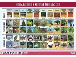 Таблица демонстрационная "Почвы, растения и животные природных зон" (винил 70*100) - fgospostavki.ru - Самара